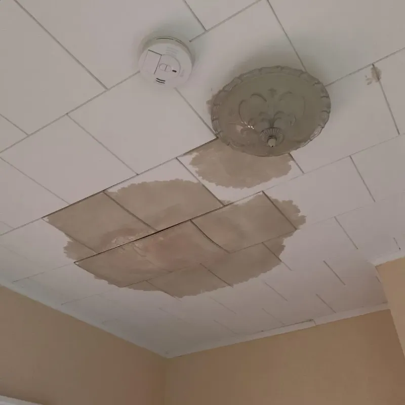 Ceiling Water Damage Repair in Cortland County, NY
