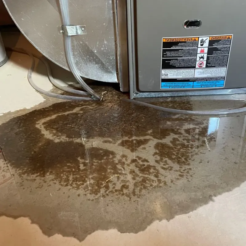 Pipe Burst and Leak Restoration in Cortland County, NY